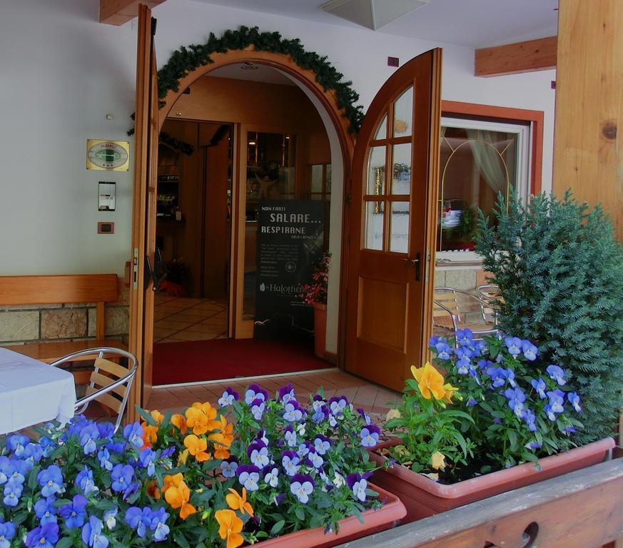 Hotel Belvedere Wellness & Family バゼルガ・ディ・ピネ エクステリア 写真